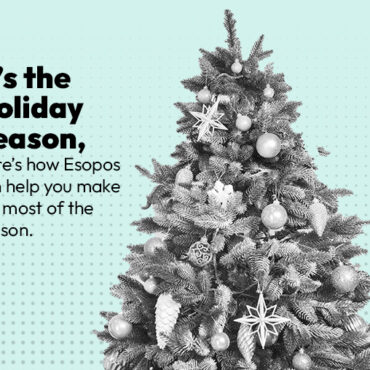It’s the Holiday Season, Here’s how Esopos can help you make the most of the season.